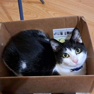 Meet your Posher, Vanessa